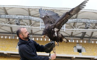 Δοκιμαστικές πτήσεις στο νέο γήπεδο της ΑΕΚ για τον αετό Οδυσσέα