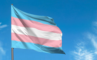 Τρανς σημαία