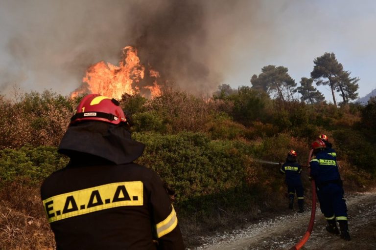 Φωτιά σε χαμηλή βλάστηση στην περιοχή Διόνυσος Κερατέας με κινητοποίηση των πυροσβεστικών δυνάμεων