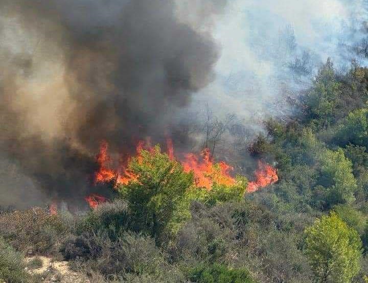 Πυροσβέστης τραυματίζεται σοβαρά στη φωτιά στο Γεράκι Αμαλιάδας